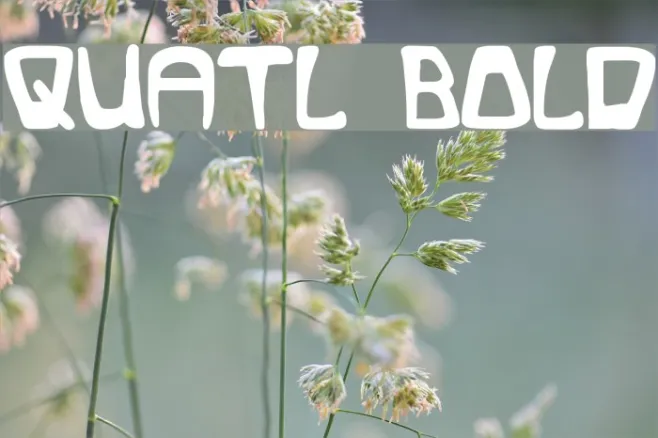 Quatl Bold Example 2
