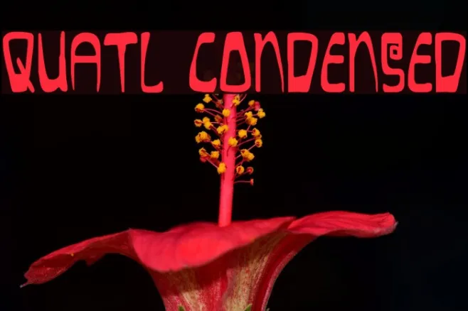 Quatl Condensed Example 1