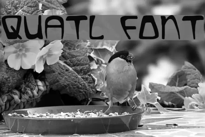 Quatl Font examples