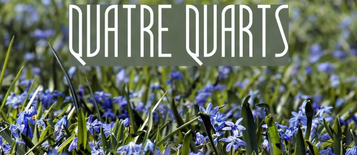 Quatre Quarts Fuentes examples