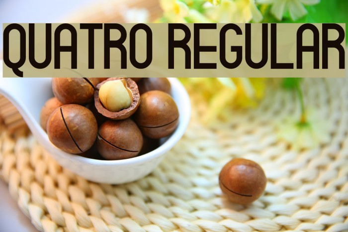 Quatro Regular Font examples