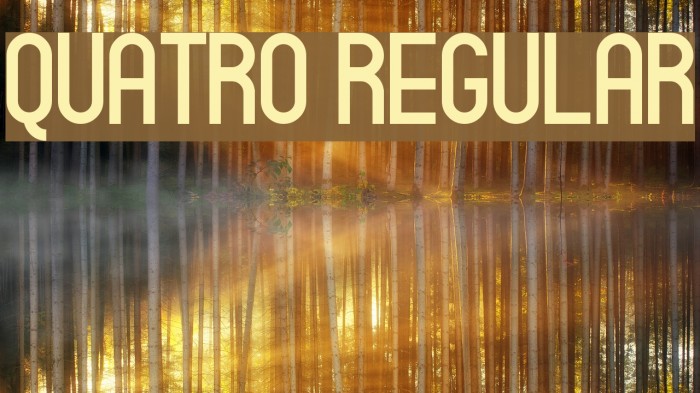 Quatro Regular Font examples