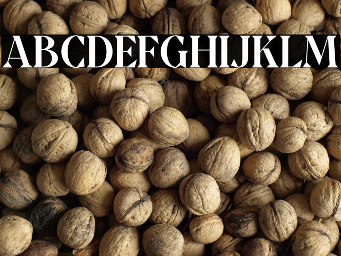 QuatroDEMO Example 1