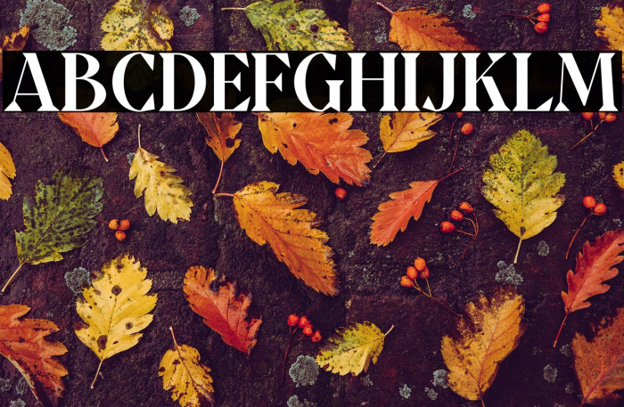 QuatroDEMO Example 3