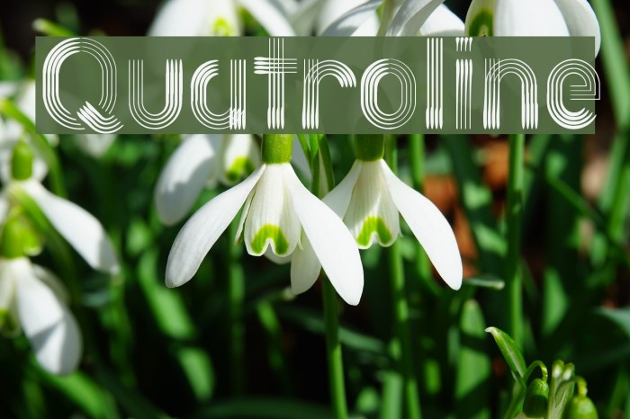 Quatroline Font examples