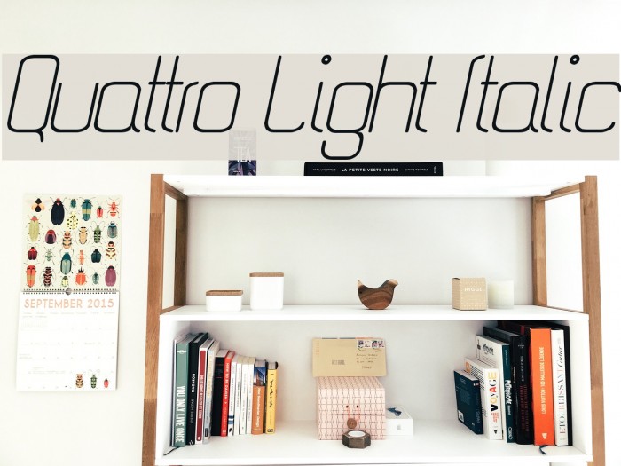 Quattro Light Italic Font examples