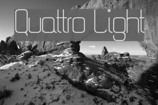 Quattro Light Font examples