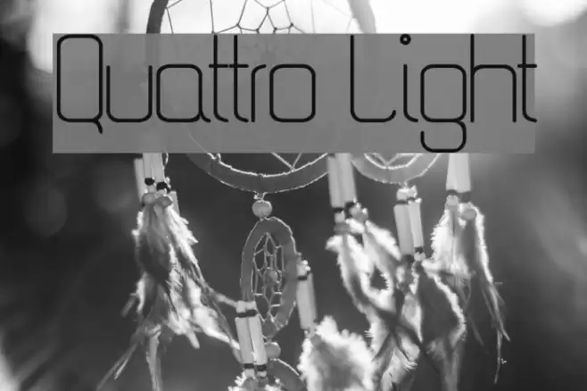 Quattro Light Font examples