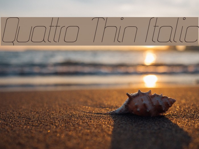 Quattro Thin Italic Font examples
