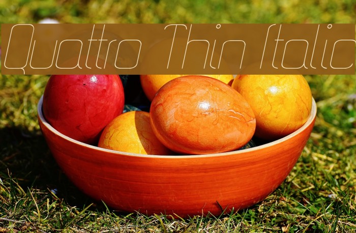 Quattro Thin Italic Font examples