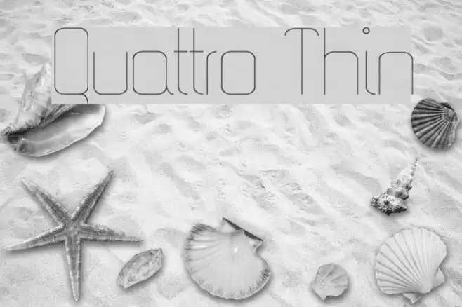 Quattro Thin Шрифта examples