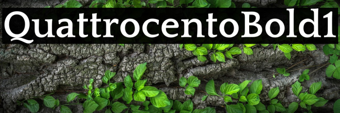 Quattrocento Bold1 Example 1