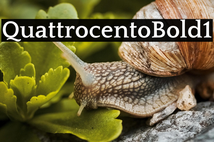 Quattrocento Bold1 Example 2