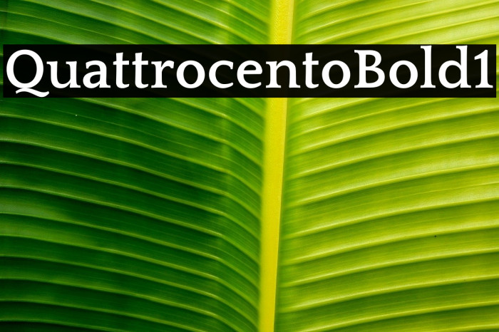 Quattrocento Bold1 Example 3
