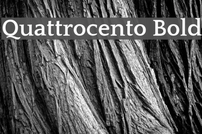 Quattrocento Bold Font examples