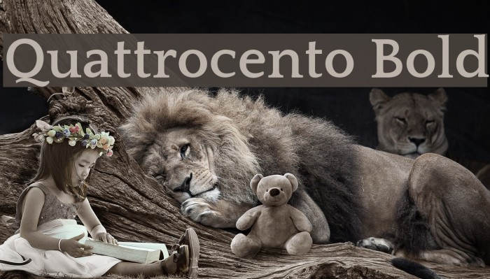 Quattrocento Bold Font examples