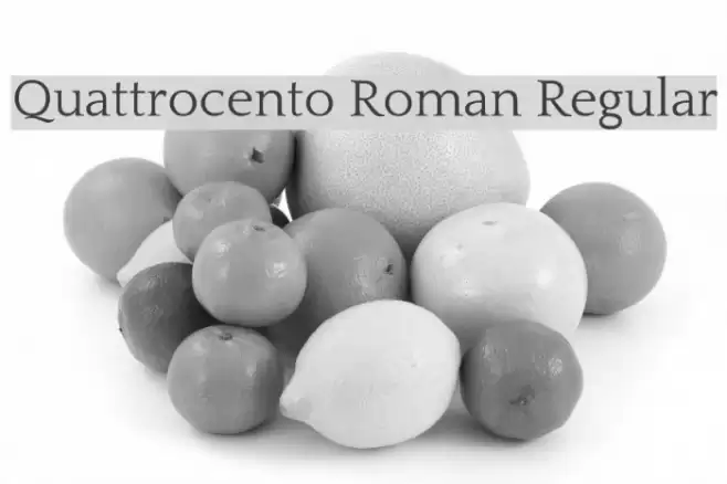 Quattrocento Roman Regular Font examples