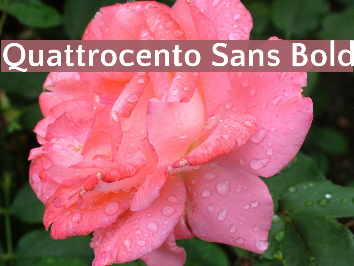 Quattrocento Sans Bold Font examples