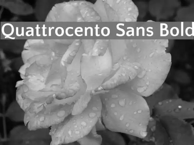 Quattrocento Sans Bold Font examples