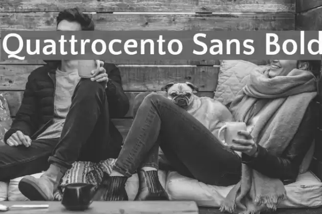 Quattrocento Sans Bold Font examples
