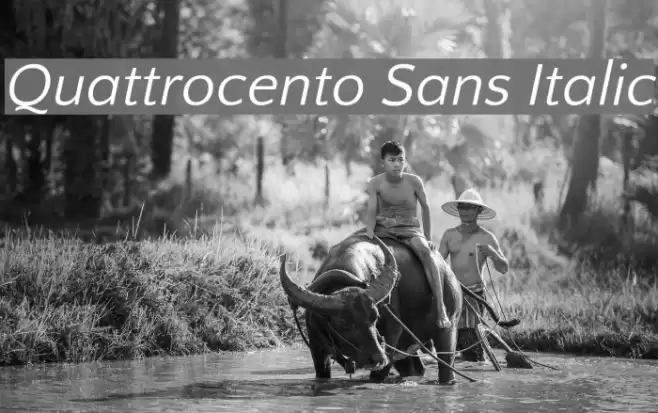 Quattrocento Sans Italic Font examples