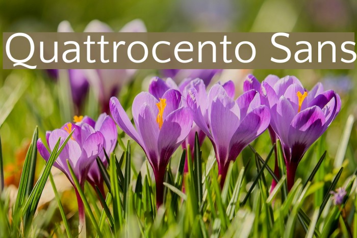 Quattrocento Sans Font examples