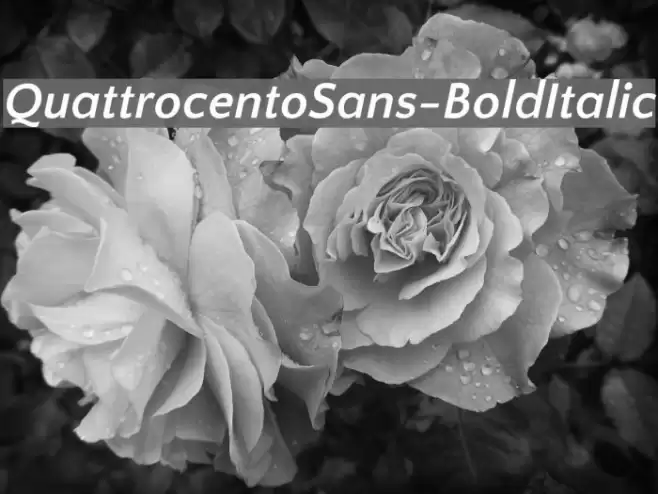QuattrocentoSans-BoldItalic Font examples