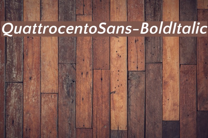 QuattrocentoSans-BoldItalic Font examples