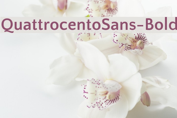 QuattrocentoSans-Bold Font examples