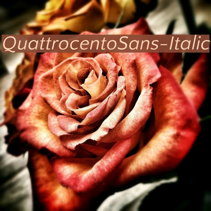 QuattrocentoSans-Italic Font examples