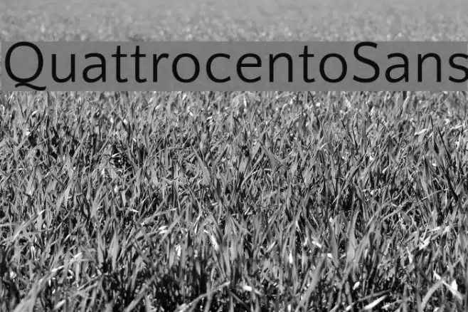 QuattrocentoSans Font examples