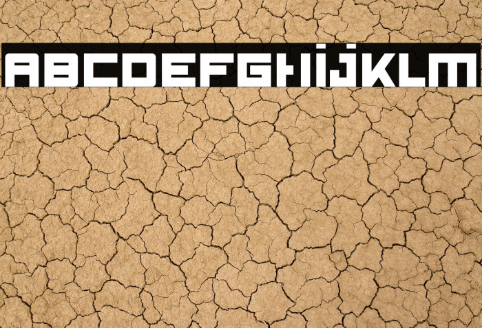 Qube Bold Bold Example 2