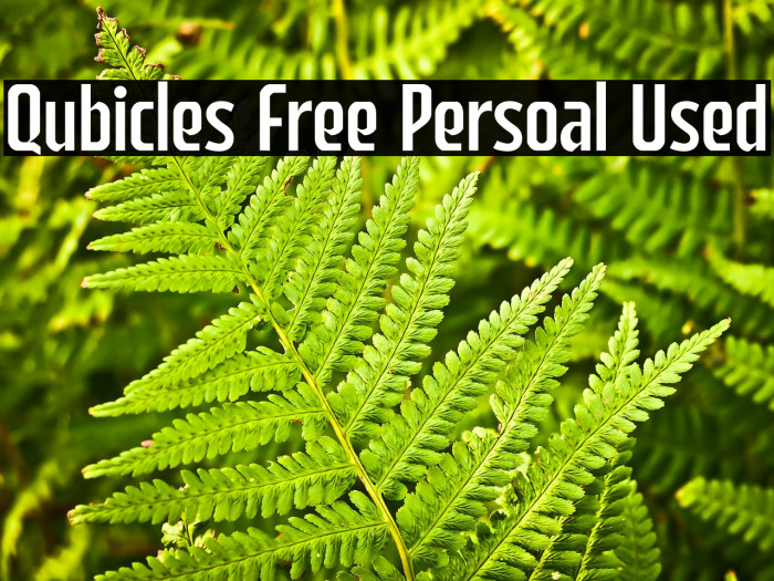 Qubicles Free Persoal Used Example 1