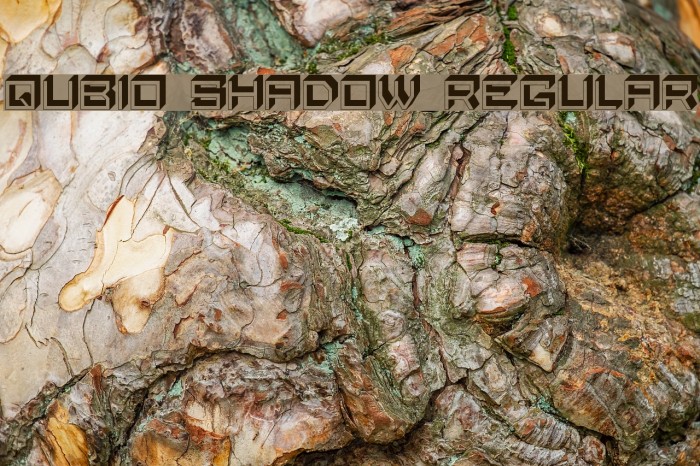 Qubio Shadow Regular Font examples