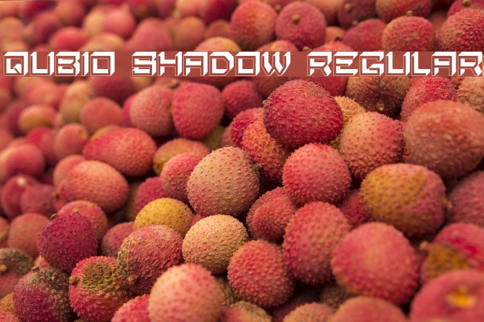 Qubio Shadow Regular Font examples