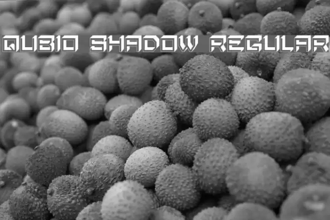 Qubio Shadow Regular Font examples