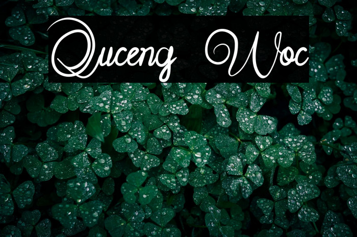 Quceng Woc Example 2