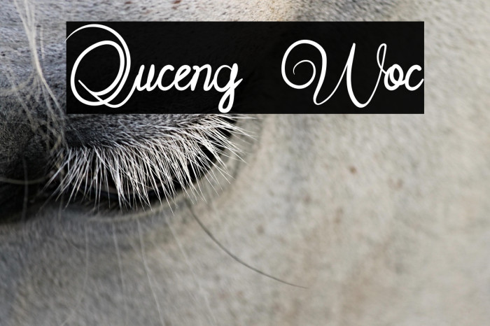 Quceng Woc Example 3