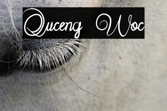 Quceng Woc Example 3