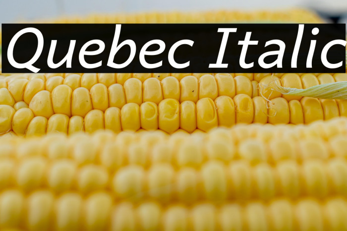 Quebec Italic Example 2
