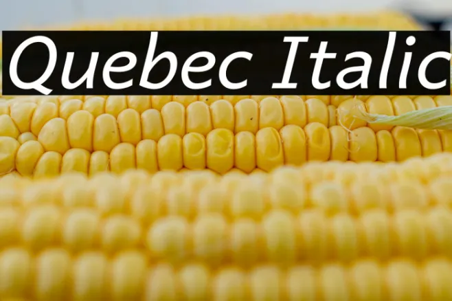 Quebec Italic Example 2