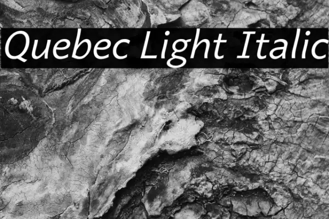 Quebec Light Italic Font examples