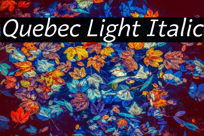 Quebec Light Italic Example 3