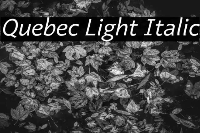Quebec Light Italic Font examples