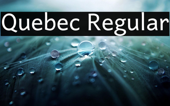 Quebec Regular Example 2