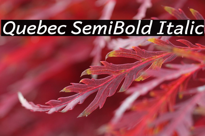 Quebec SemiBold Italic Example 3