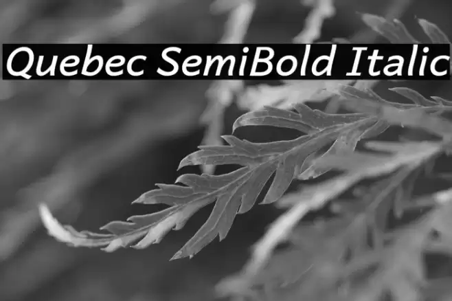 Quebec SemiBold Italic Font examples