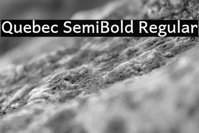 Quebec SemiBold Regular Font examples