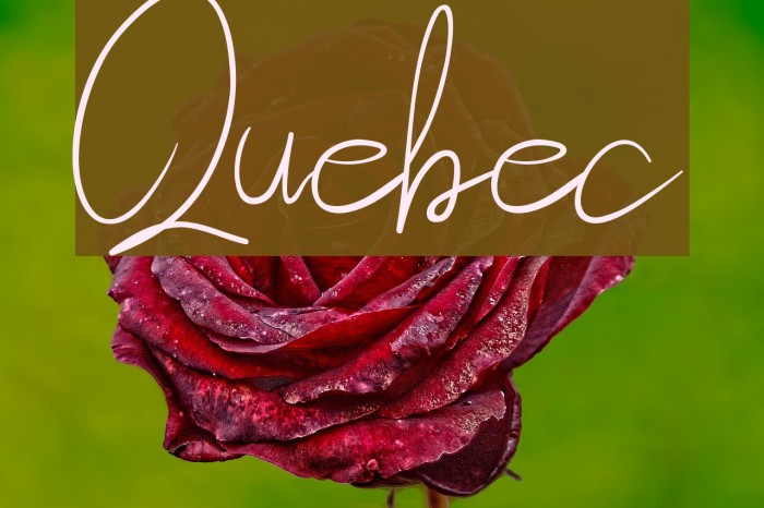 Quebec Font examples