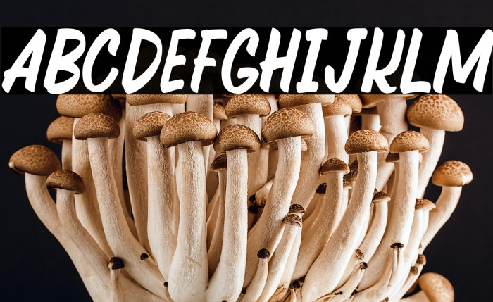 Quechely-Regular Example 2